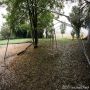 20130907_12-41-31_IMG_1889
